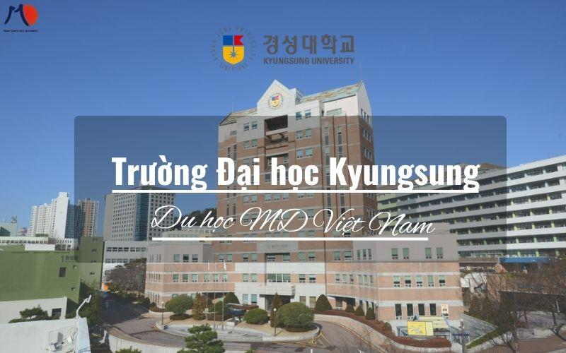 Trường Đại học Kyungsung Hàn Quốc - Môi trường lý tưởng cho du học sinh Việt