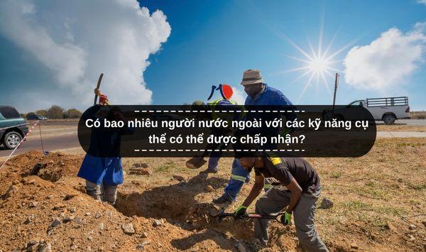 Có bao nhiêu người nước ngoài với các kỹ năng cụ thể có thể được chấp nhận?