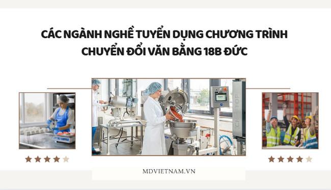 Các ngành nghề tuyển dụng chương trình chuyển đổi văn bằng 18B Đức